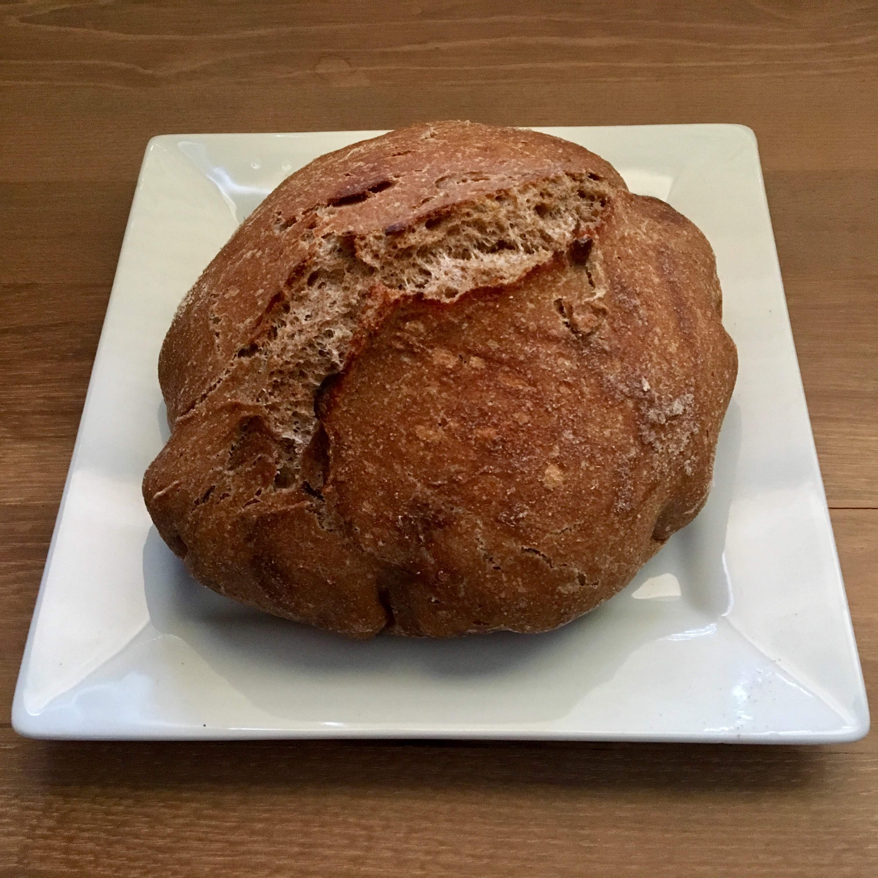 No-Knead, Whole Wheat, Healthy Bread